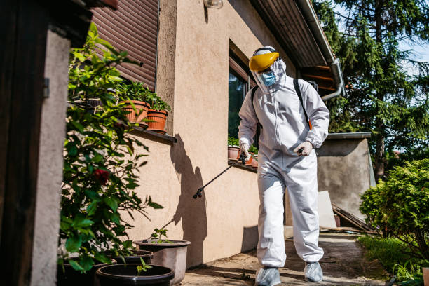 Best Pest Prevention Services  in Port Royal, SC