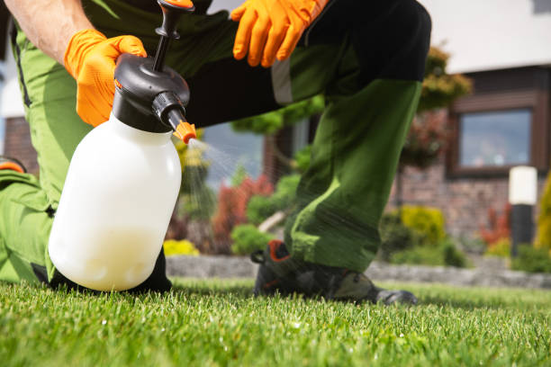 Best Pest Prevention Services  in Port Royal, SC