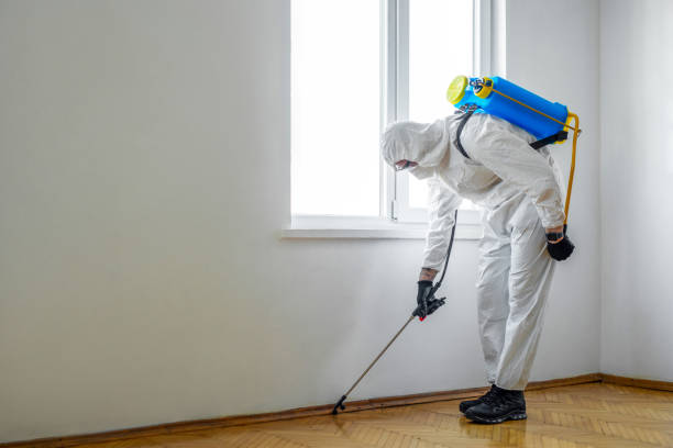 Best Best Pest Control Companies  in Port Royal, SC
