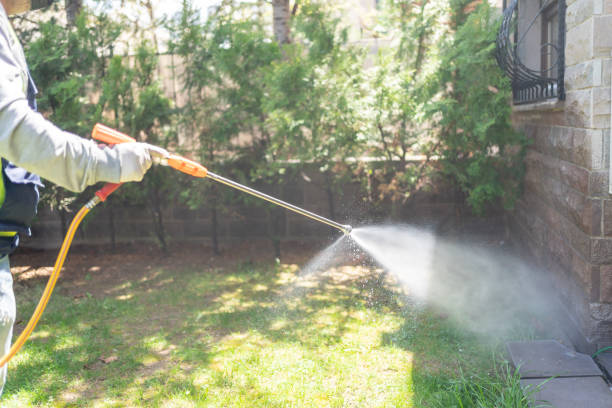 Best Termite Control Services  in Port Royal, SC